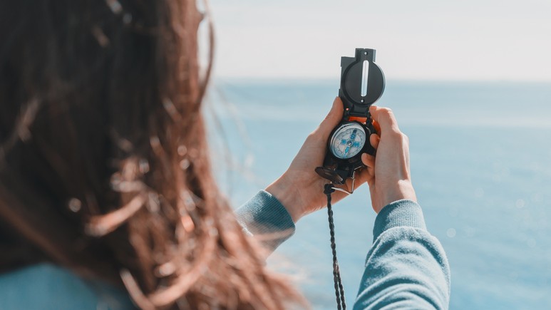 zB No 97 – Strategischer Kompass zu Netto-Null.