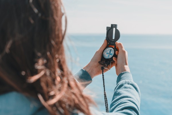 zB No 97 – Strategischer Kompass zu Netto-Null.