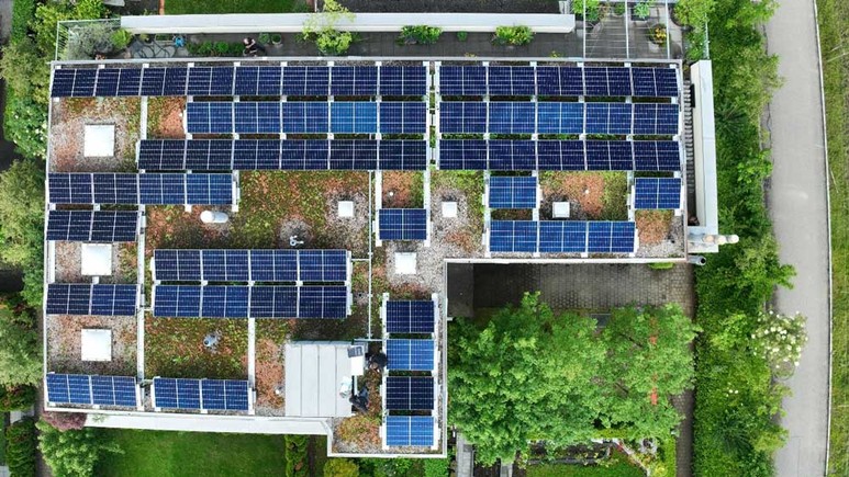 Amstein + Walthert bekennt Farbe: Grau-grün-blaue Planung